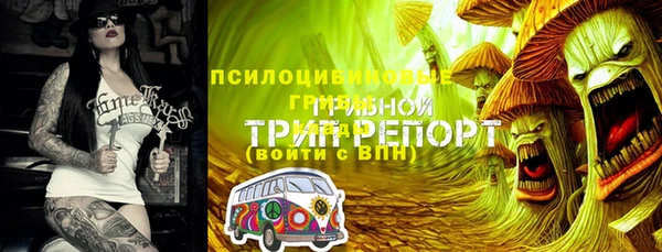 ПСИЛОЦИБИНОВЫЕ ГРИБЫ Алзамай
