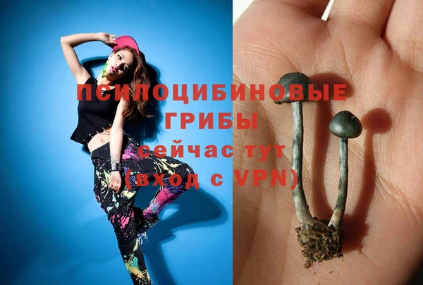 ПСИЛОЦИБИНОВЫЕ ГРИБЫ Алзамай